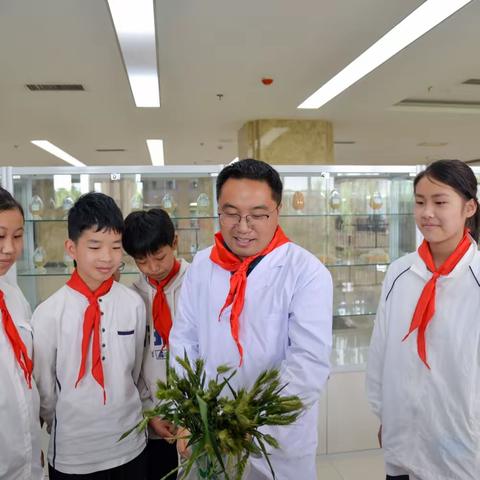 走进河南农业大学，探索庄稼丰收的奥秘——高村一小组织学生进行研学实践活动