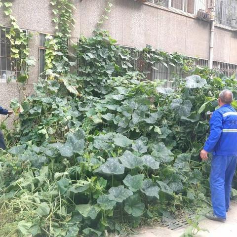 【交大财经社区】精心呵护生活绿洲，倾心谨守安全家园