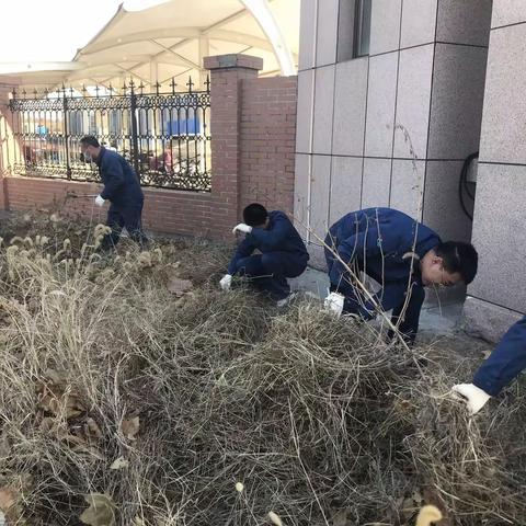 【浸润剂原料部】除草防火，防患于未“燃”