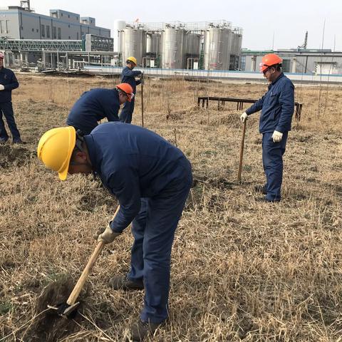 【浸润剂原料部】美化环境从我做起