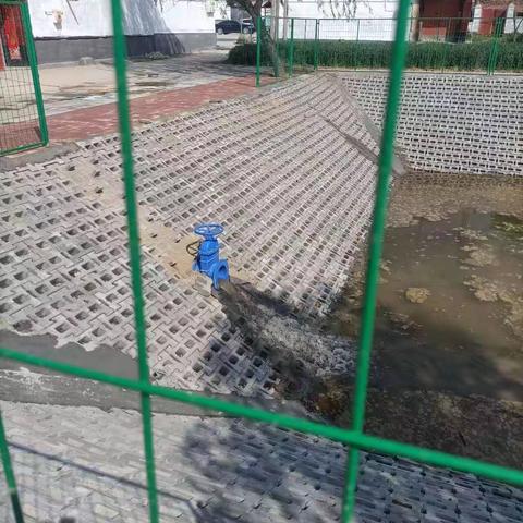 建设小池塘环境大提升