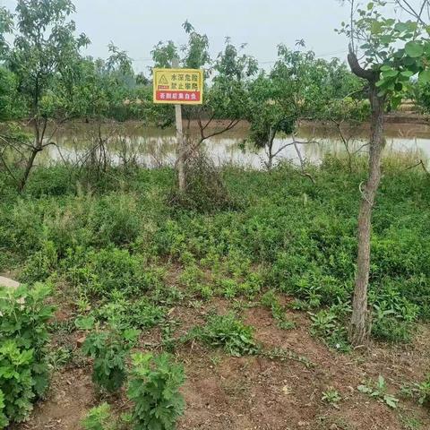 美化乡村环境，提升村容村貌