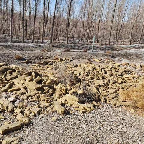 怀头他拉工区开展路域环境整治工作