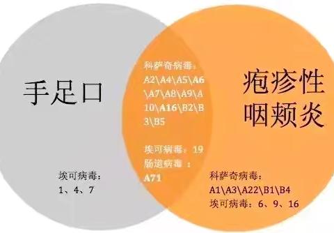 科学预防，健康“童”行——海口市慧志幼儿园手足口病、疱疹性咽峡炎预防知识宣传