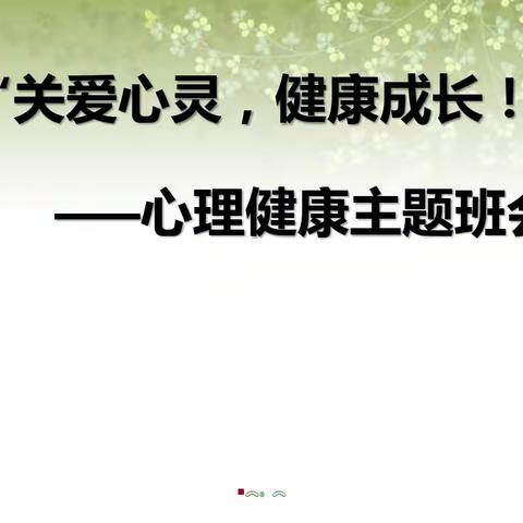 关爱学生，幸福成长——胜营小学心理健康教育主题班会