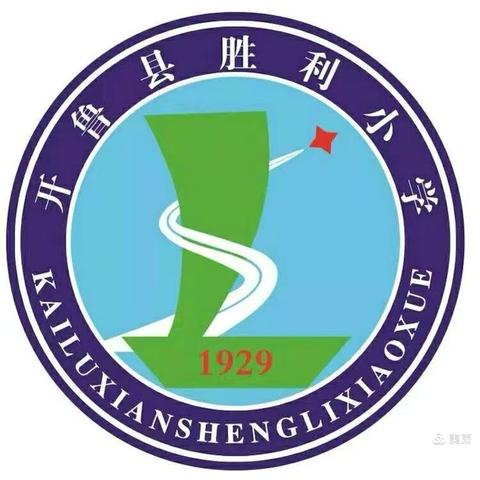 童心跃动向未来，衔接有方启新篇——2025年胜利小学片区幼小衔接启动仪式