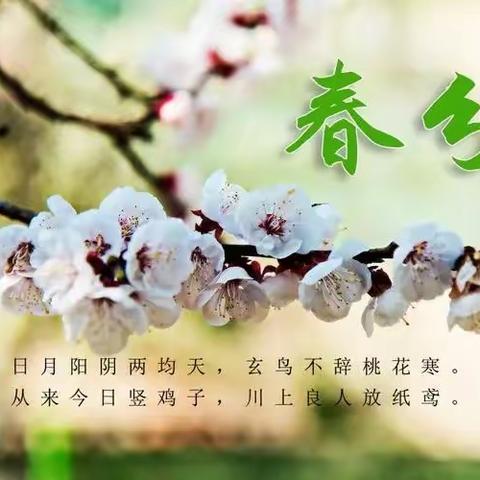 “遇春分，知春意”——仵龙堂乡东后屯幼儿园【二十四节气——春分】主题教育活动