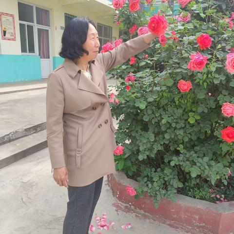 生如夏花