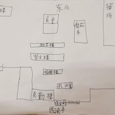 三年级下册《位置与方向（一）》