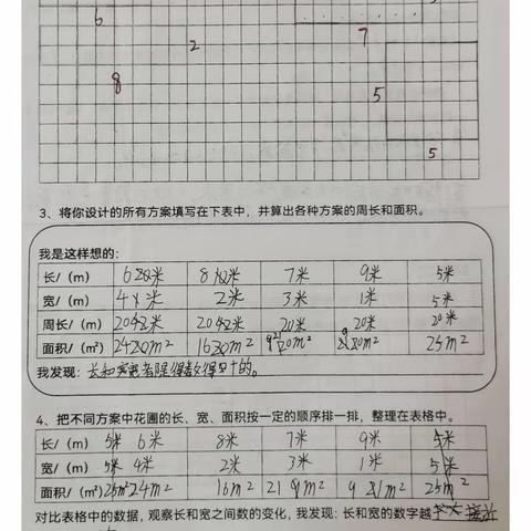 三（1）班《面积》单元知识整合
