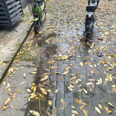 「民有所呼解民忧，我有所行守护社区环境」渭滨街社区协助疏通南苑小区下水道