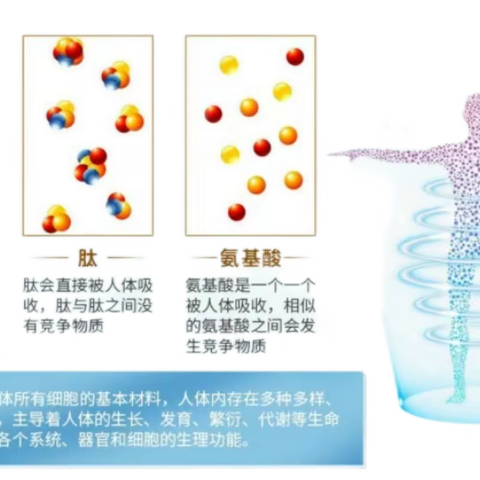 谷茂科技：小分子免疫蛋白隆重上线（提高免疫力，增加自我保护能力）