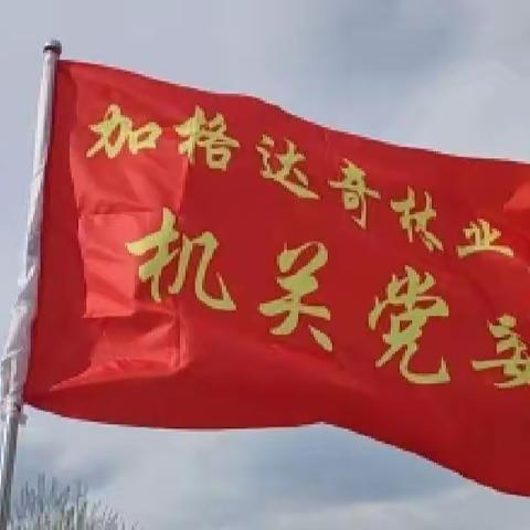 五一我在岗  巾帼显担当——记机关巾帼护林防火巡护党小组森林防火工作