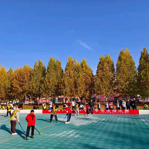 冰球燃童趣，活力满校园——临清市小学旱地冰球比赛大辛庄办事处中心小学赛区