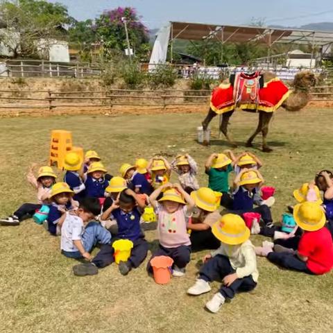 🌸瑞丽市童之梦幼儿园春游活动～带小小的你，看大大的世界🌍