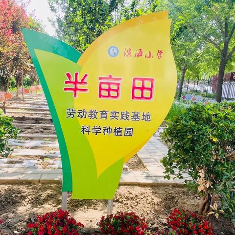 【滨海小学·劳动】太空种子成长记——滨海小学“半亩田”科学种植园实践活动