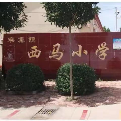 磨课赛课精准把脉  听课评课精进教学——辛集镇西马小学开展听评课教研活动纪实