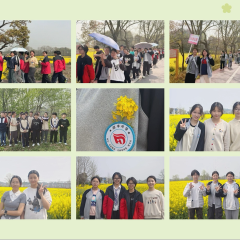 金浪围校踏春归！ ﻿‍湖丰镇中学学生春日徒步踏青活动