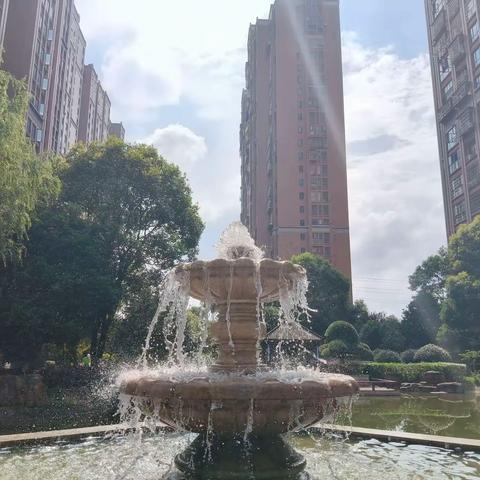 2026年上半年鹏基居业物业东业上城小区工作汇报