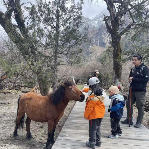 四姑娘山—长坪沟徒步