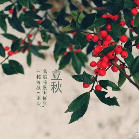 孙老师的简篇