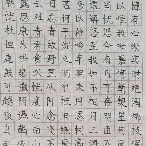 妙笔生花书汉字 方寸之间练功底