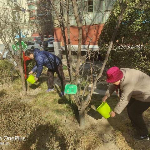 八南社区植树节浇水活动 为绿色社区贡献一份力量