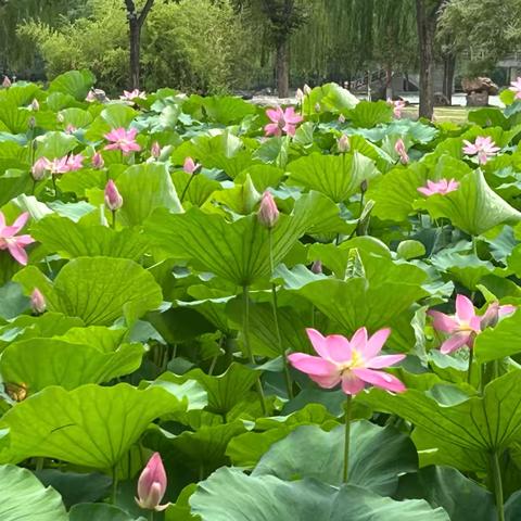 别让催促，磨掉孩子的自驱力