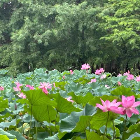 换一种“点名”方式，让班会课焕发新生