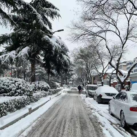 寒日里的精神暖阳——从尼克·胡哲的故事中汲取前行力量