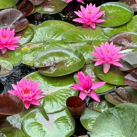 陌生的拥抱，温暖你我他