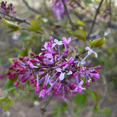 四颗糖的温暖救赎