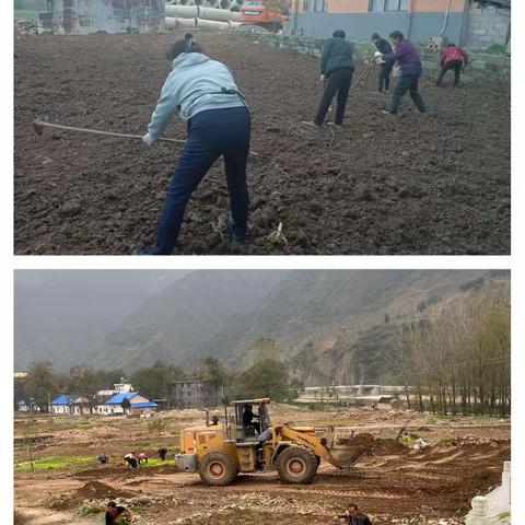 改变撂荒,重建希望,让绿色报恩去破茧!