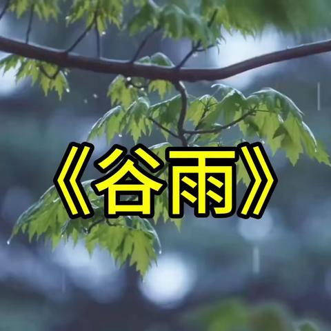 雨生谷，滋润万物-石峰区第三幼儿园中四班❤️