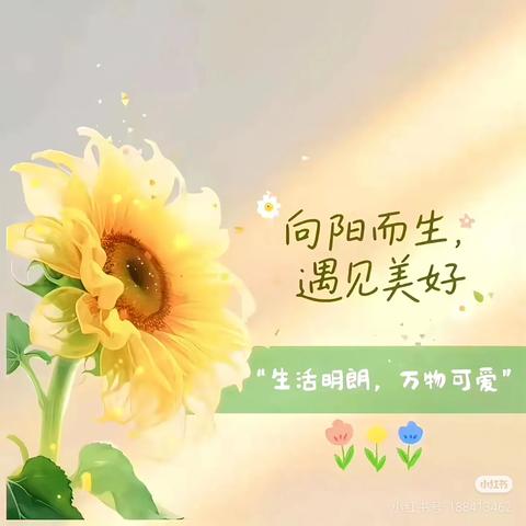 🧬聚晨会之力，扬少年之风🎖——4.2班第十周晨会总结