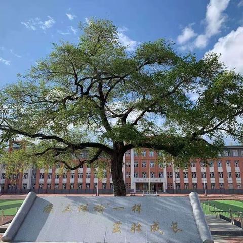 【工作落实年】学习新思想 奋进新征程——第一小学党支部庆祝建党102周年暨迎“七一”主题党日活动