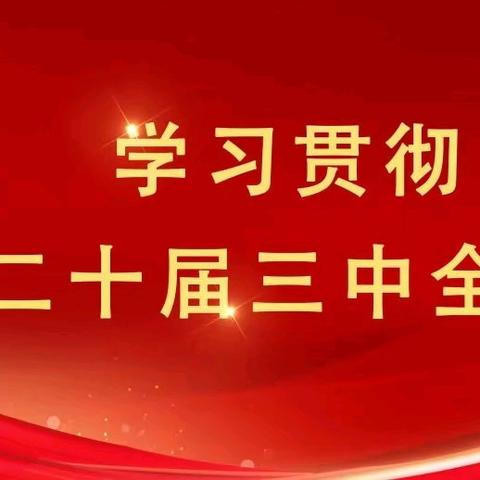 掀起学习贯彻党的二十届三中全会精神热潮  海垦广坝公司党委班子深入基层开展宣讲活动