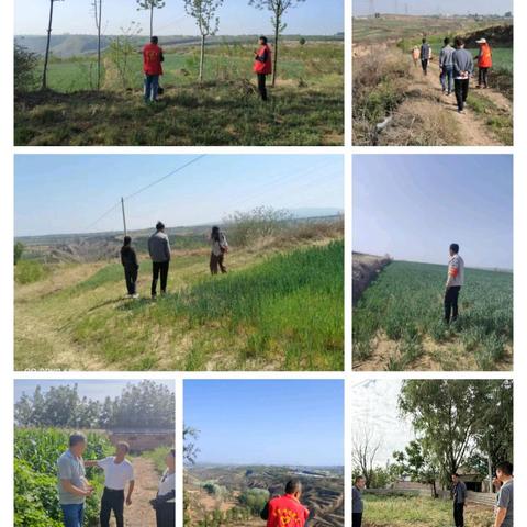 监军街道开展禁种铲毒踏查活动