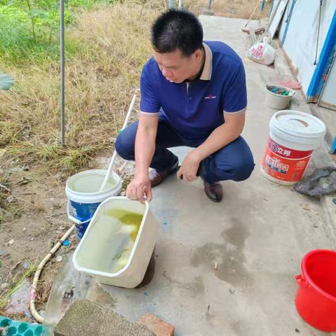 安罗村开展“九清”爱国卫生活动