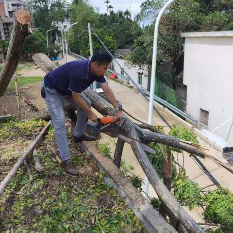 安罗村开展人居环境卫生整治活动
