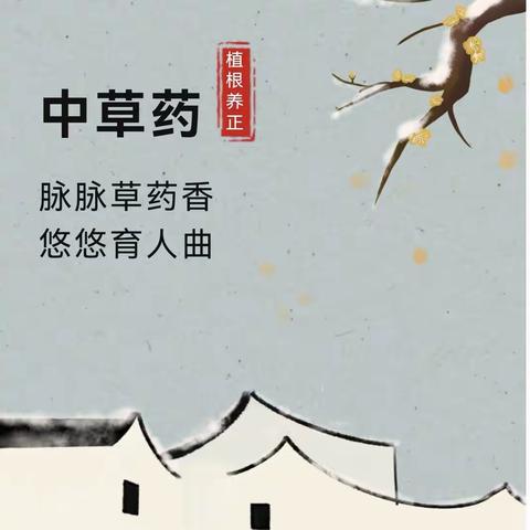 传承国粹  本草飘香——教师处到丛台区袁庄小学参加“关爱学生 幸福成长 中草药文化进校园”活动