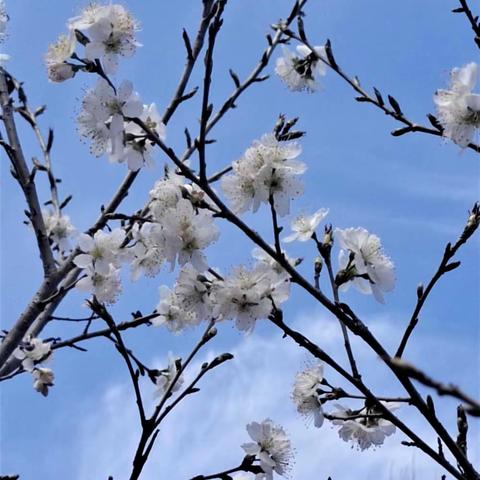 半期耕耘星光灿 意气风发再扬帆 ——馆驿镇靳口小学期中检测活动