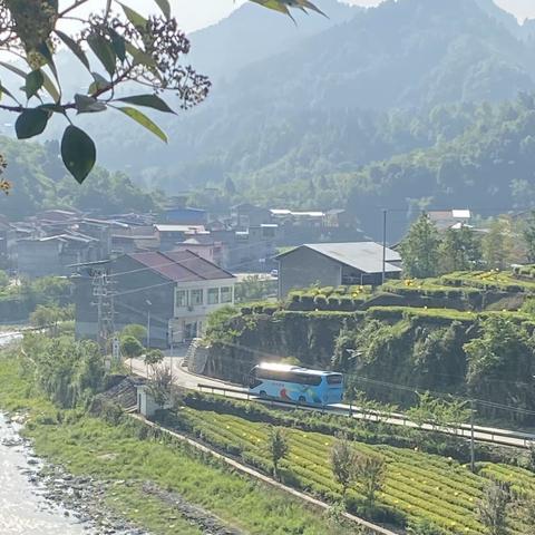 茶香飘万里·蚕桑筑新生——恒口示范区梅子铺九年制学校研学旅行