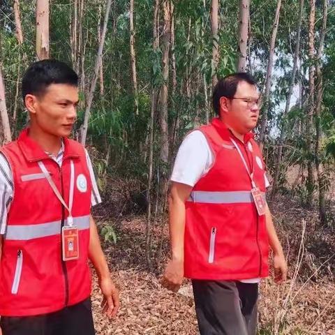 网格员开展森林防火巡查和宣传