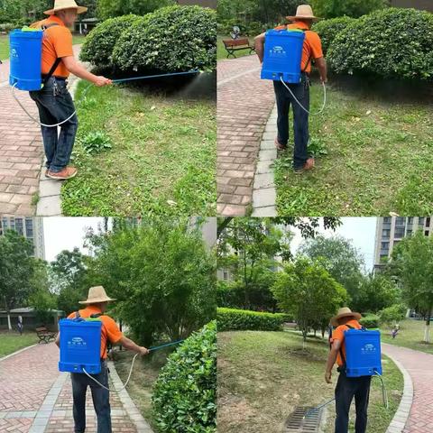 小区全面消杀，筑牢健康防线——徐湾社区联合物业开展“四害”防治工作