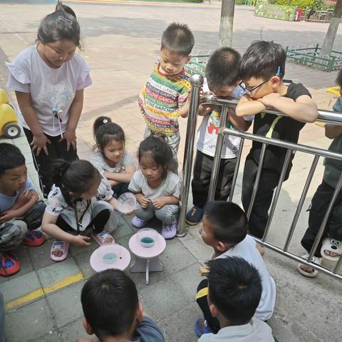 科学探索：水电大揭秘