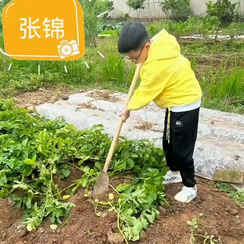 以劳动之名 畅享成长乐趣