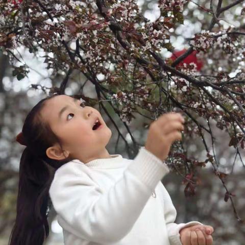 我和春天有个约会―市直幼儿园大班组四月亲子活动集锦