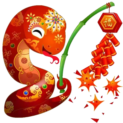 蛇舞新春乐成长 ﻿不负寒假好时光 ——二年级寒假作业