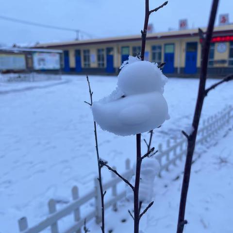 破除冰雪，暖心守护—出岸镇百尺学校全体员工扫雪护学活动